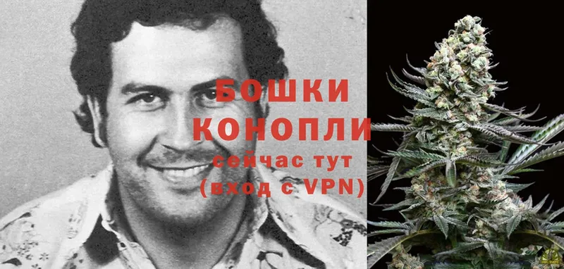 Каннабис SATIVA & INDICA  Заводоуковск 